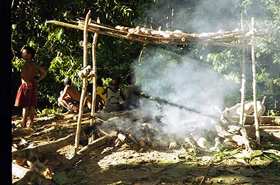 smokefish.jpg (44166 bytes)